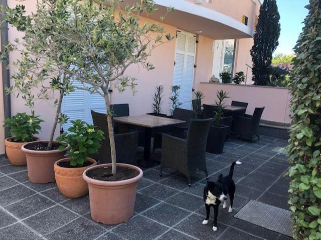 Apartments Eda Baška Eksteriør billede